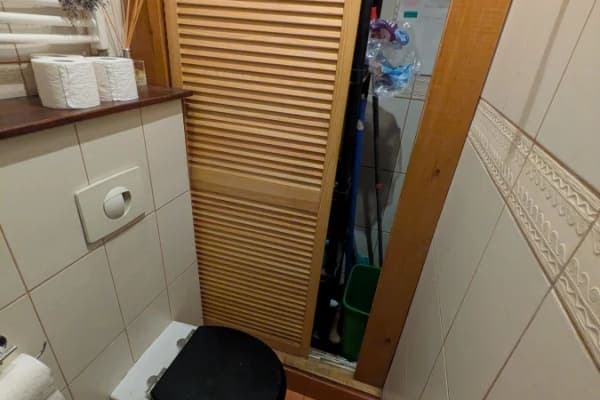 Obuolys ir Bitė